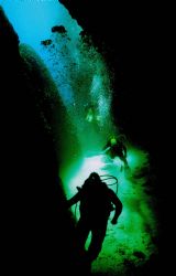 Out of the dark and into the light by Howard Gilmour 